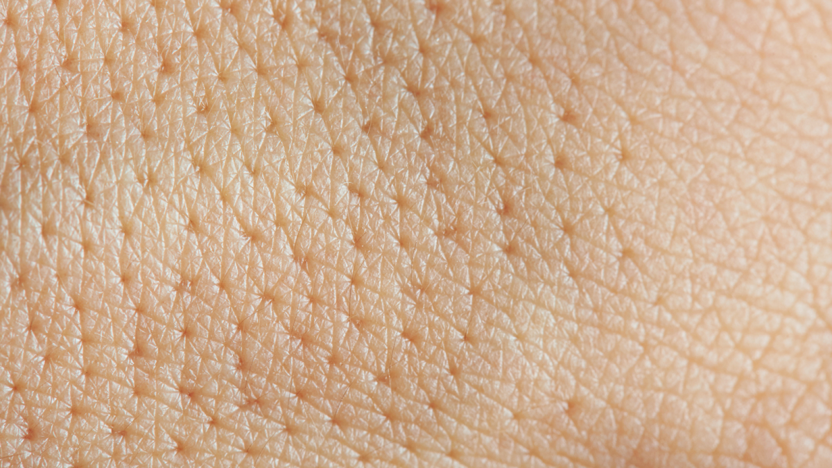 Poren „atmen“ tatsächlich. Der Sauerstoff­ge­winn über die Haut ist aber vernachlässig­bar. Foto: oliveromg/Shutterstock.com