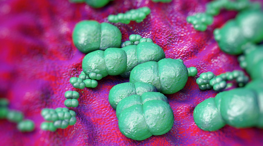 Staphylococus epidermidis. Foto: royaltystockphoto/Shutterstock.com