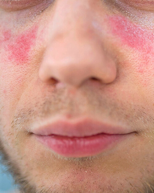 Foto: Velimir Zeland/Shutterstock.com