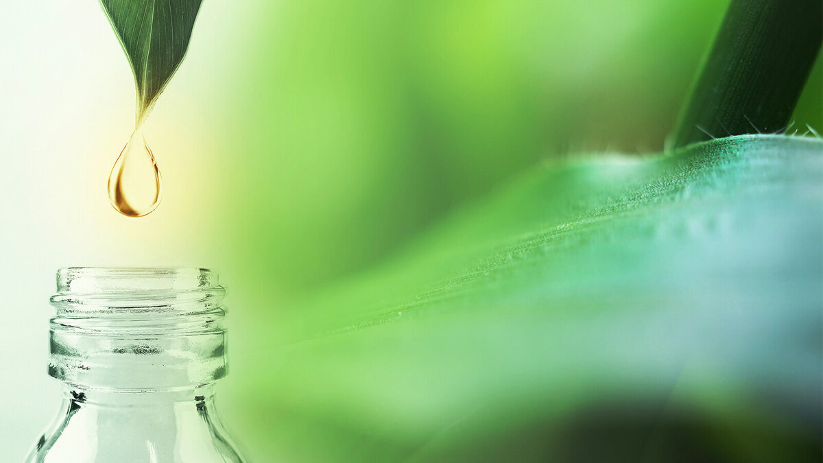 Foto: Number1411/Shutterstock.COM