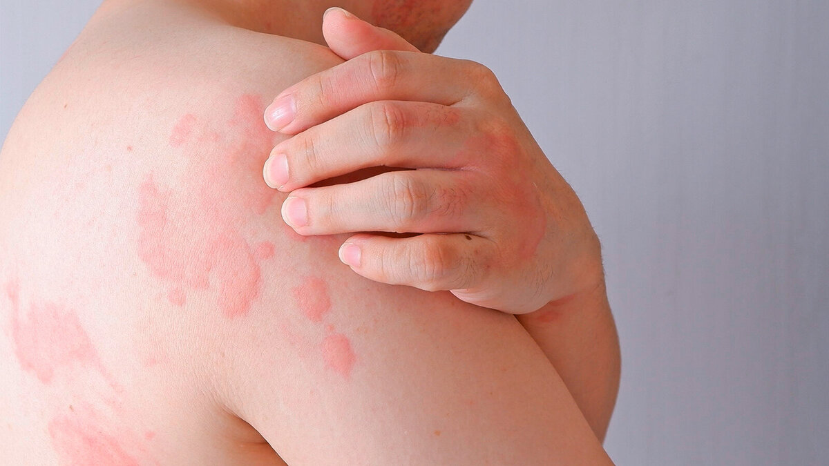 Foto: wisely/Shutterstock.com