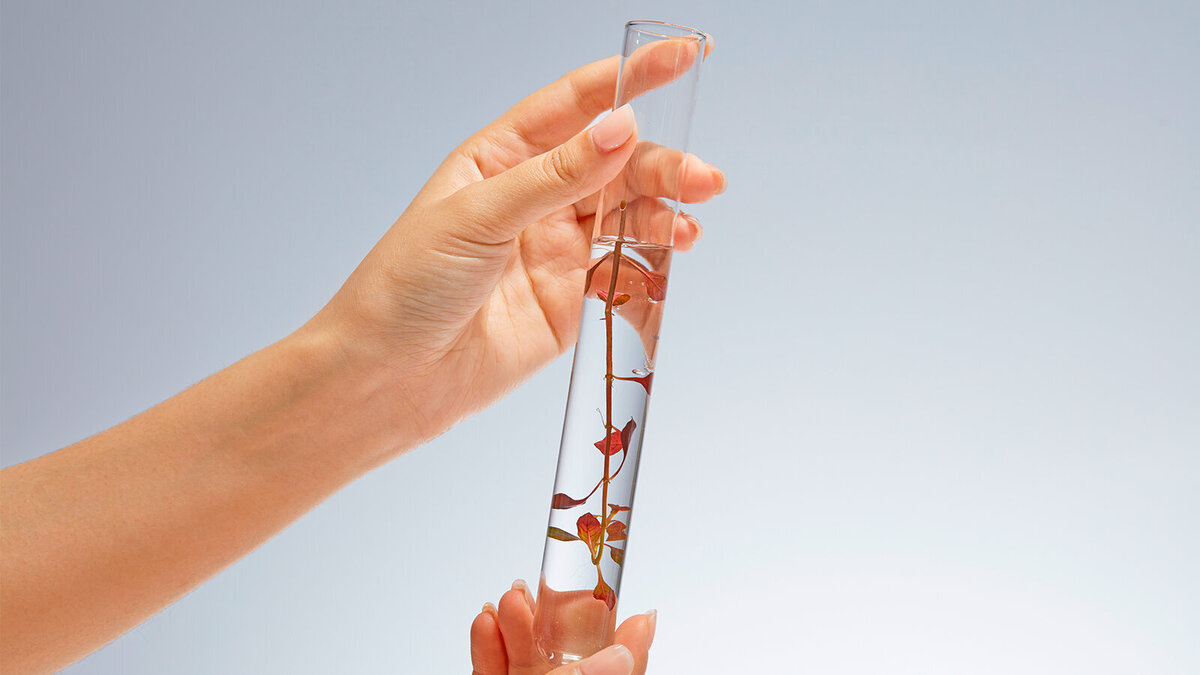 Foto: Light Stock/Shutterstock.com