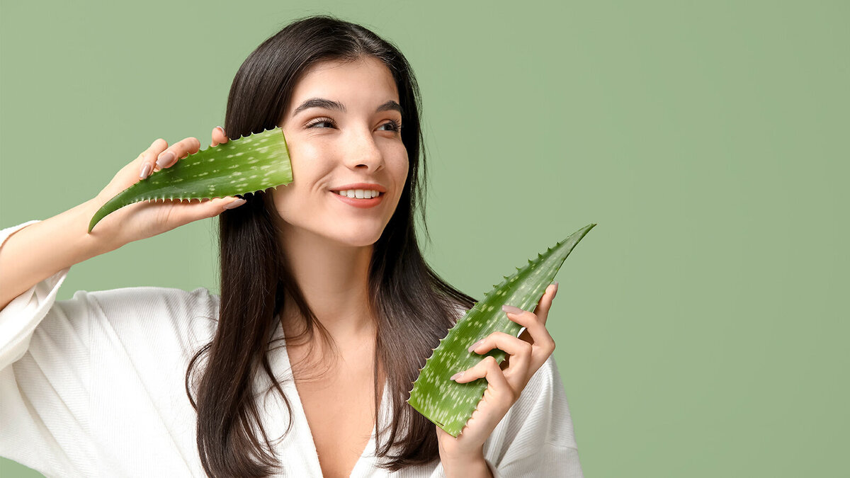 Foto: Pixel-Shot/Shutterstock.com 