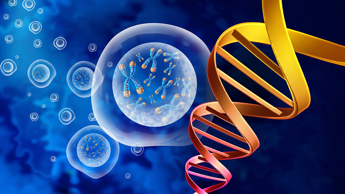 Foto: Lightspring/Shutterstock.com