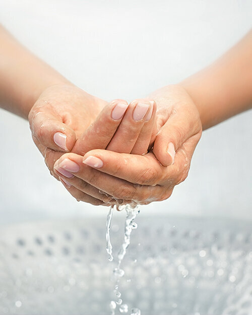 Foto: hacohob/Shutterstock.com