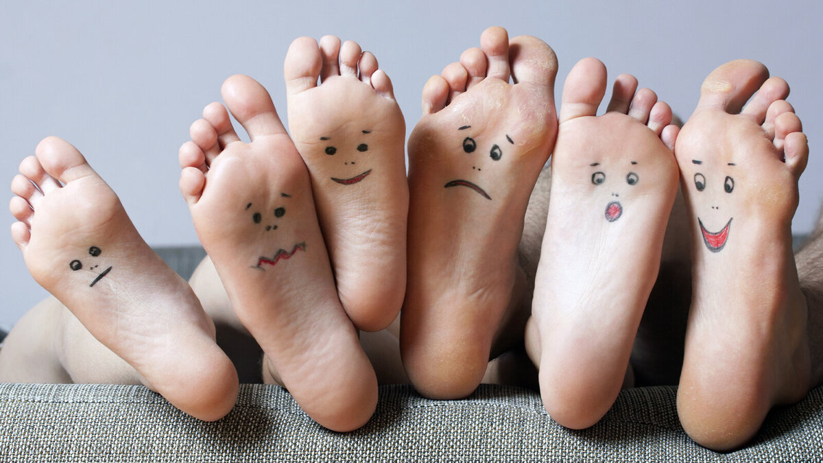Foto: Timof/Shutterstock.com
