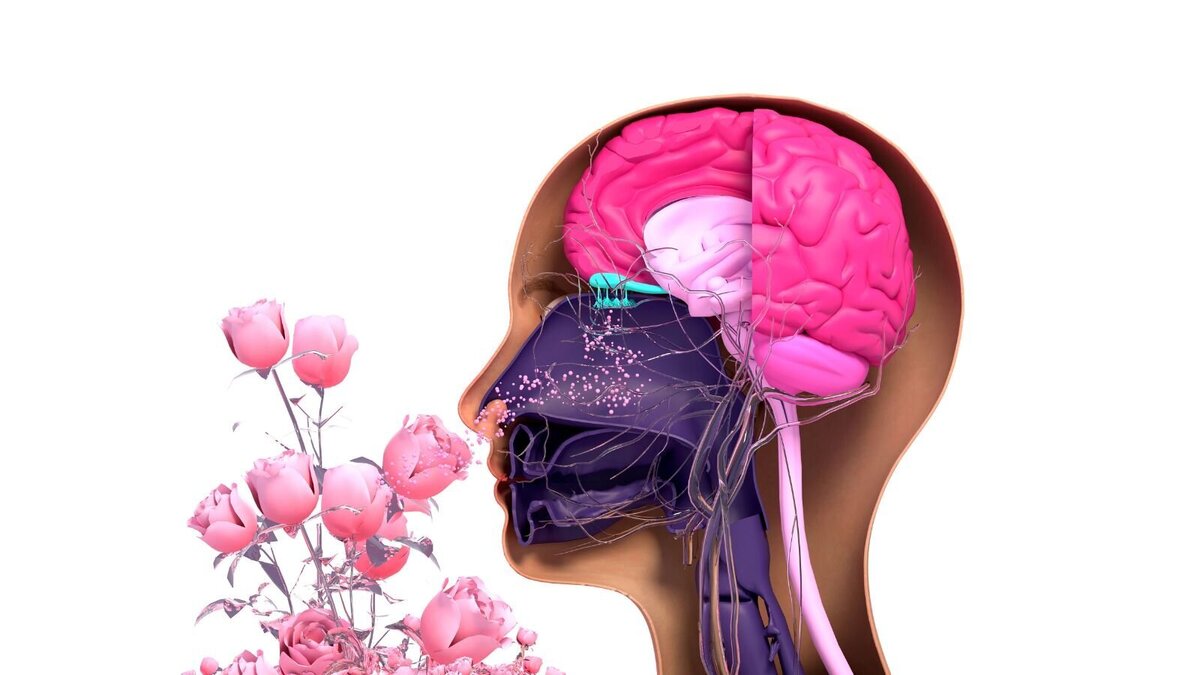Foto: Design_Cells/Shutterstock.com