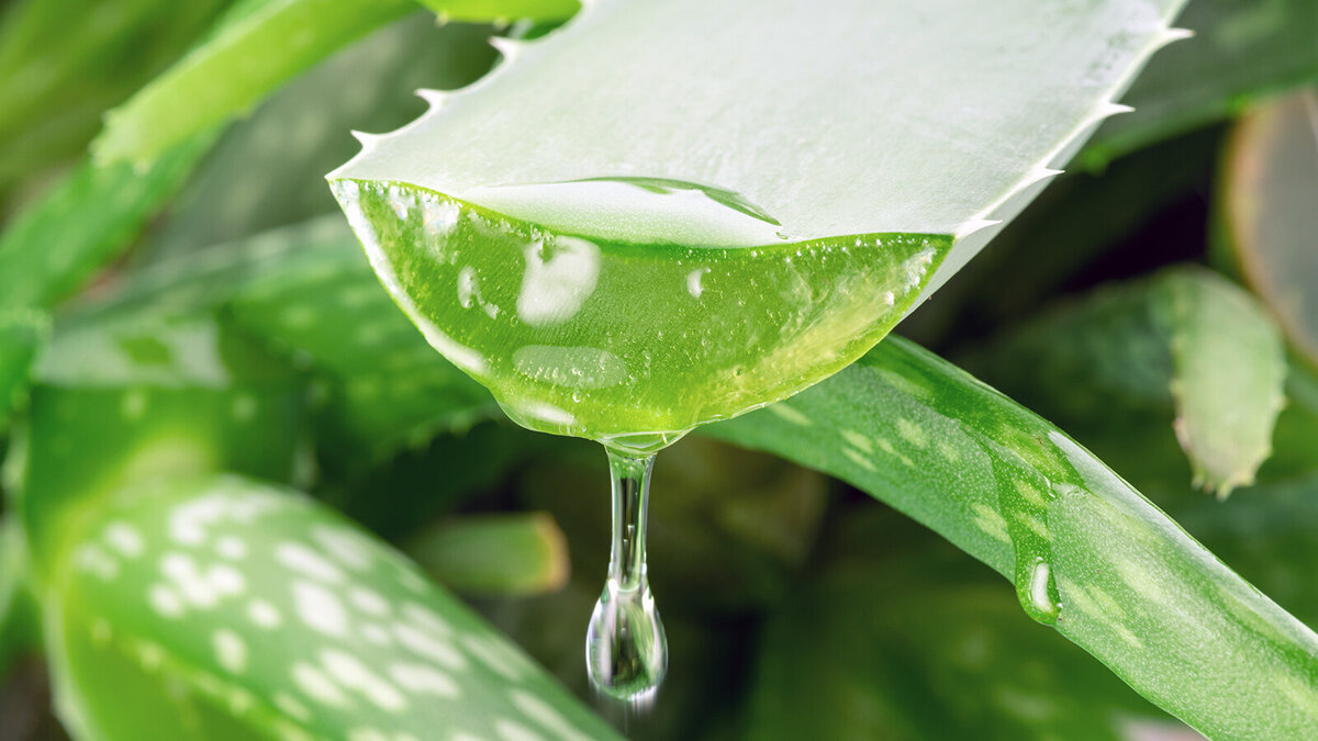 Foto: Valentyn Volkov/Shutterstock.com
