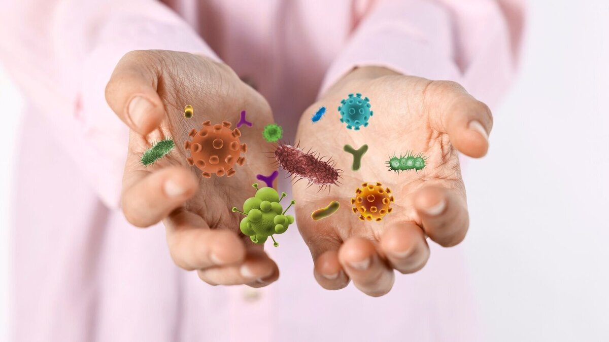 Haut und Darm – ein starkes Duo