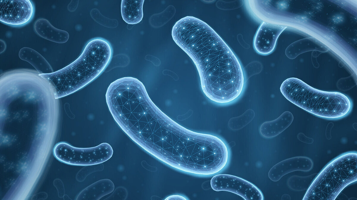 Foto: CoreDESIGN/Shutterstock.com