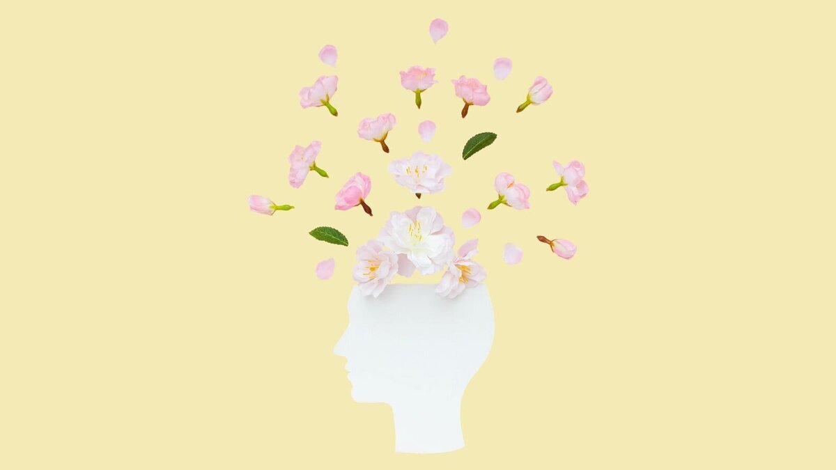 Foto: ClareM/Shutterstock.com