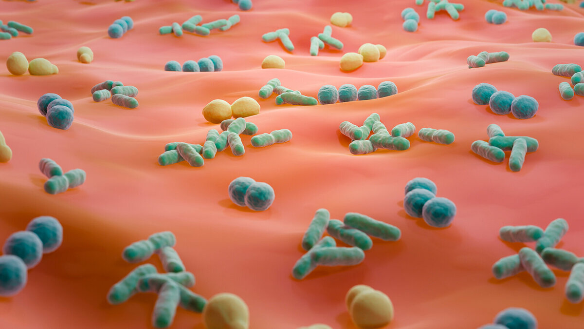 Foto: ART-ur/Shutterstock.com