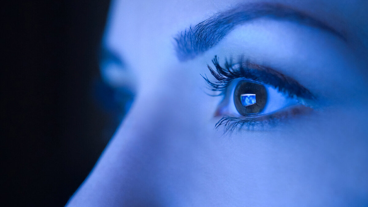 Foto: Youproduction/Shutterstock.com