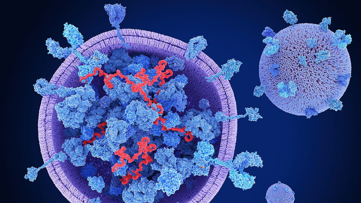 Foto: Meletios Verras/Shutterstock.com