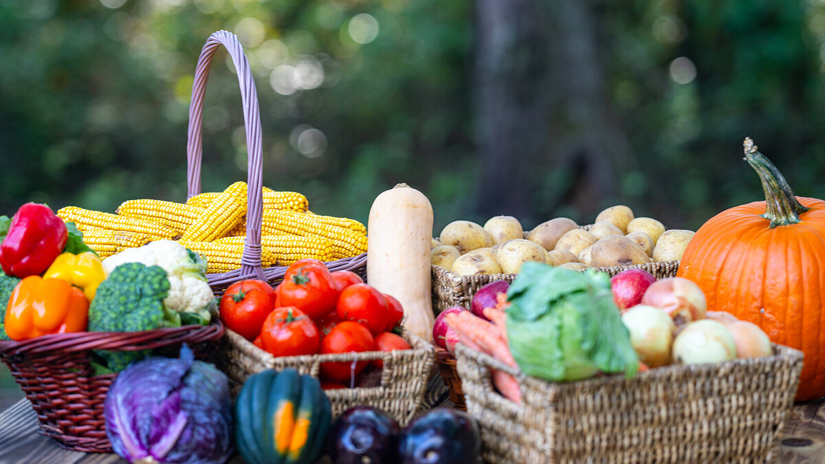 Foto: olodymyr TVERDOKHLIB/Shutterstock.com