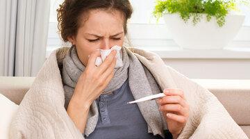 Wenn Sie sich mit einer Grippe angesteckt haben, sollten Sie den Kontakt zu anderen Menschen meiden und möglichst zu Hause bleiben. Foto: Subbotina Anna/Shutterstock.com