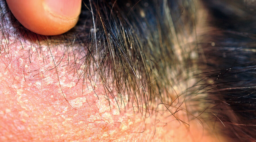 Foto: Meryll/shutterstock.com