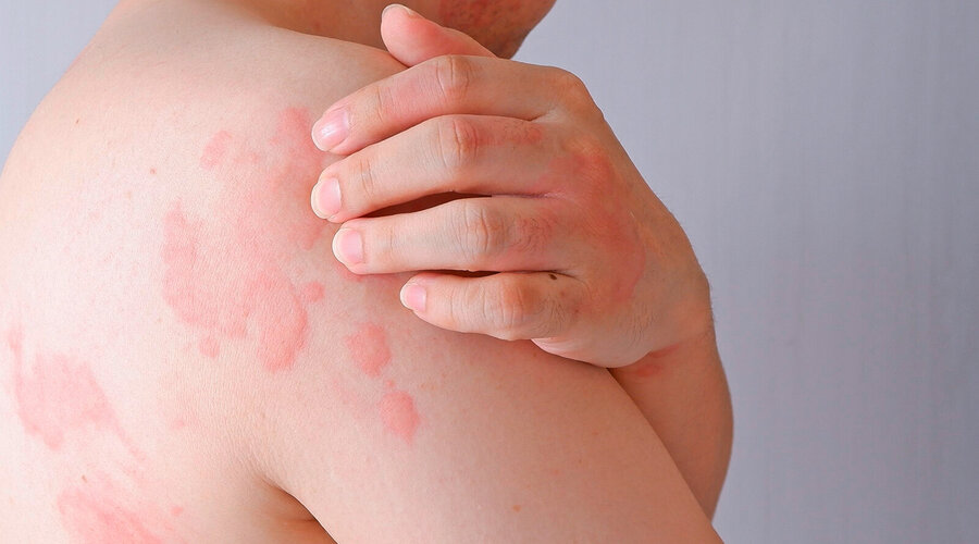 Foto: wisely/Shutterstock.com