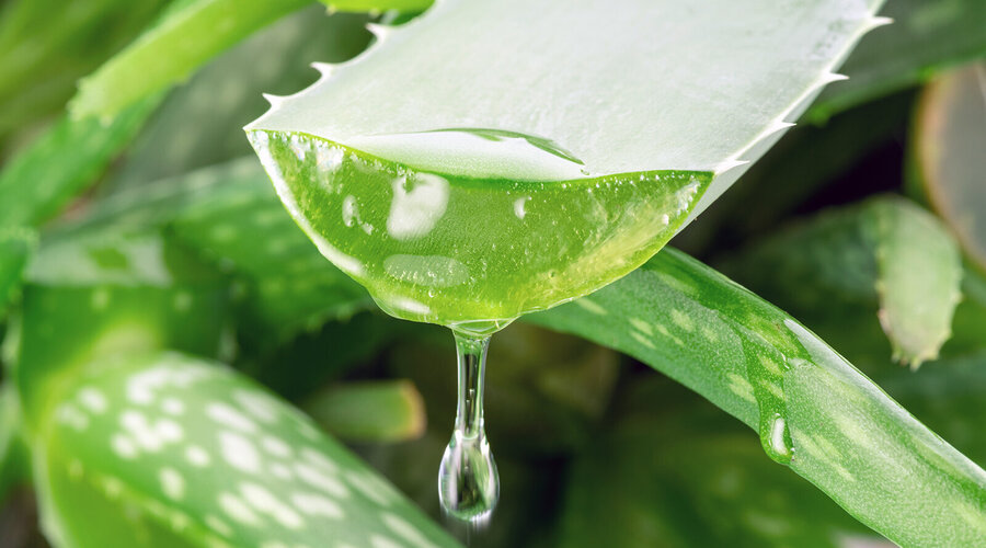 Foto: Valentyn Volkov/Shutterstock.com