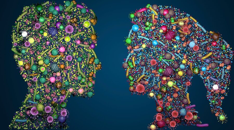 Foto: Christoph Burgstedt/Shutterstock.com