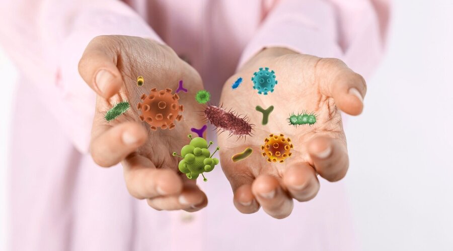 Haut und Darm – ein starkes Duo