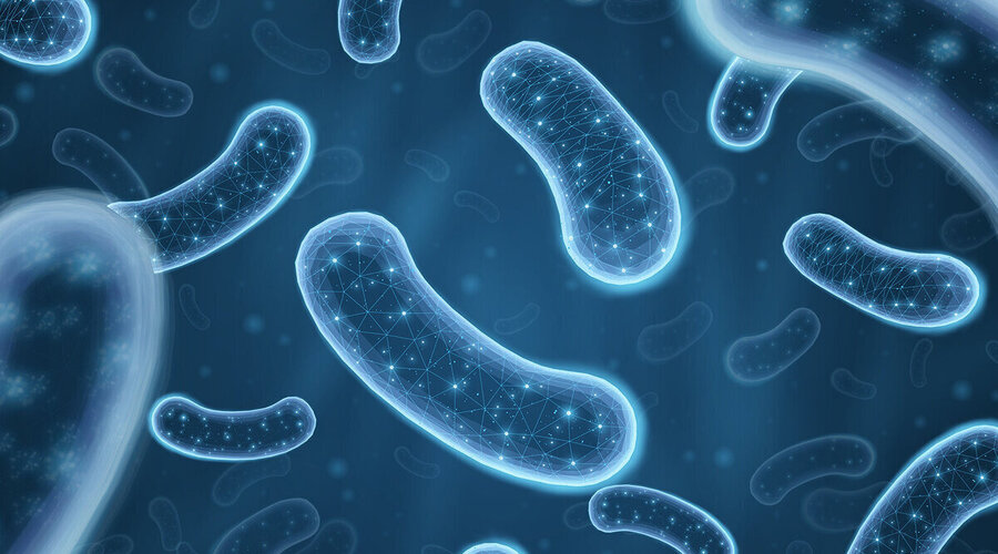 Foto: CoreDESIGN/Shutterstock.com