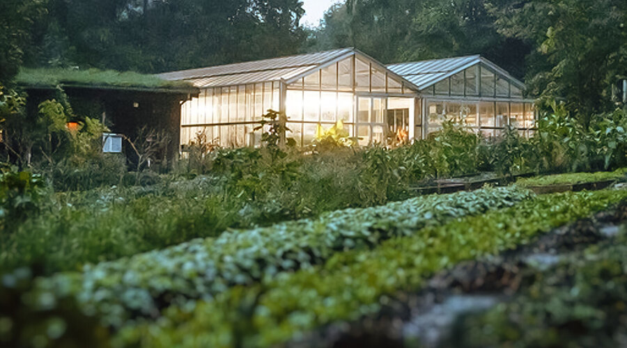 Wala Gewächshaus