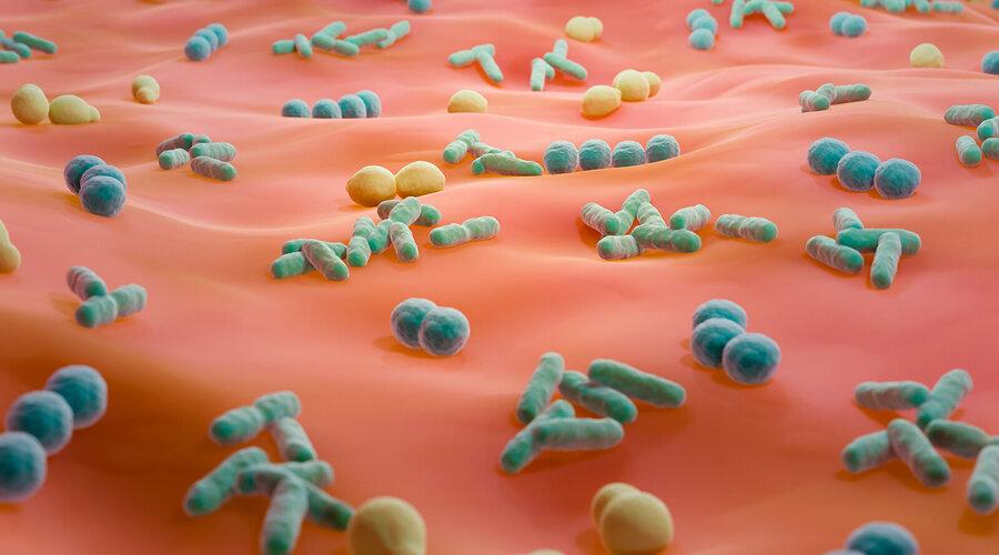 Foto: ART-ur/Shutterstock.com