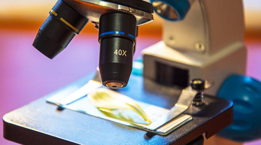 Foto: Daineko Natalia/Shutterstock.com 