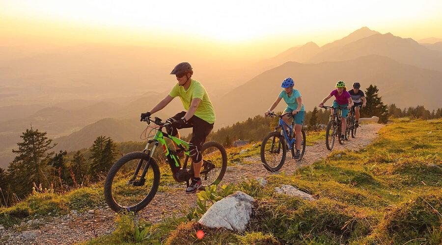 Foto: Flystock/Shutterstock.com