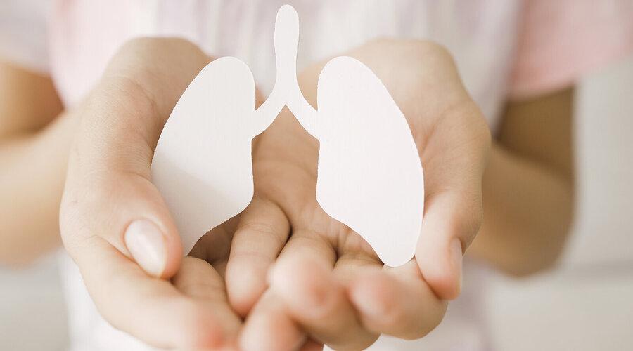 Foto: SewCreamStudio/Shutterstock.com