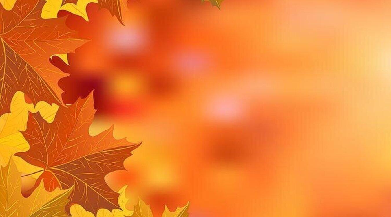 Bild: MAKSIM SHCHUR/Shutterstock.com