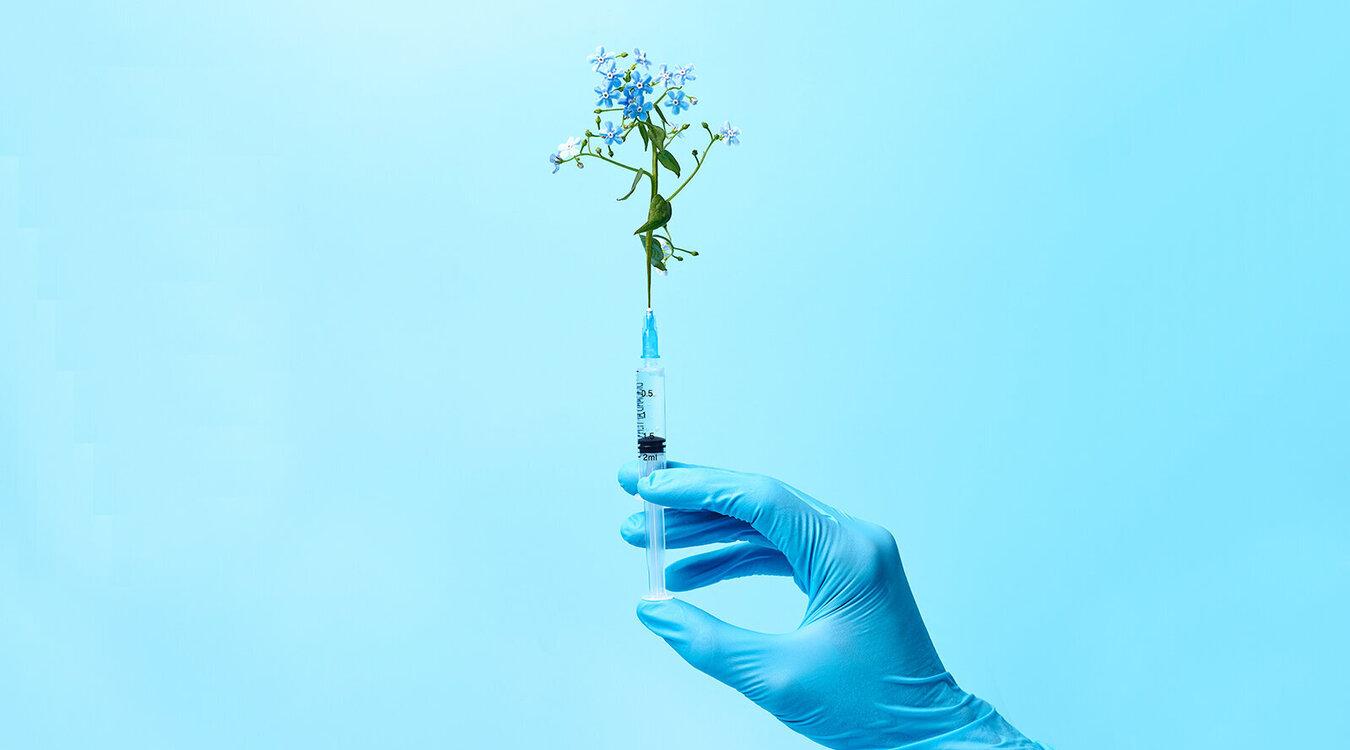 Foto: Julie Manga/shutterstock.com