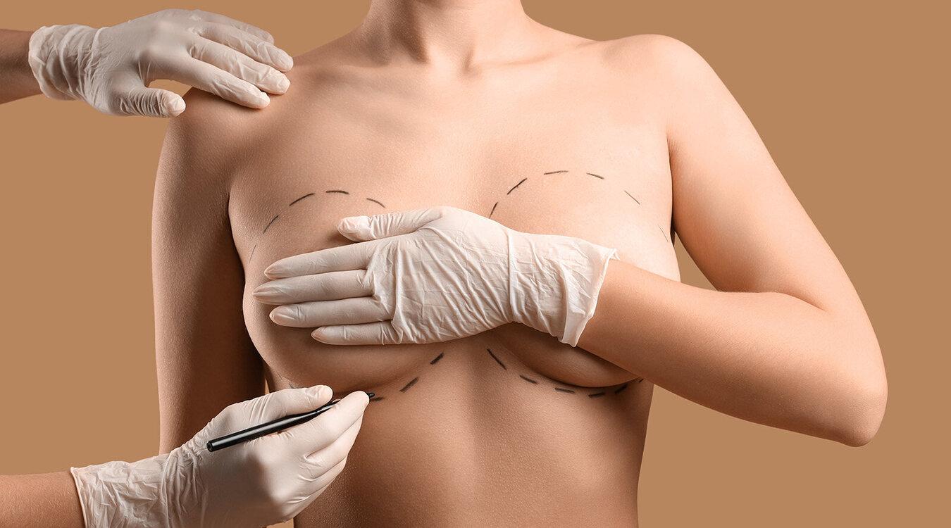 Foto: Pixel-Shot/Shutterstock.com