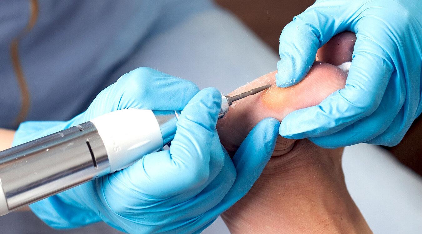 Foto: Vladimka production/Shutterstock.com