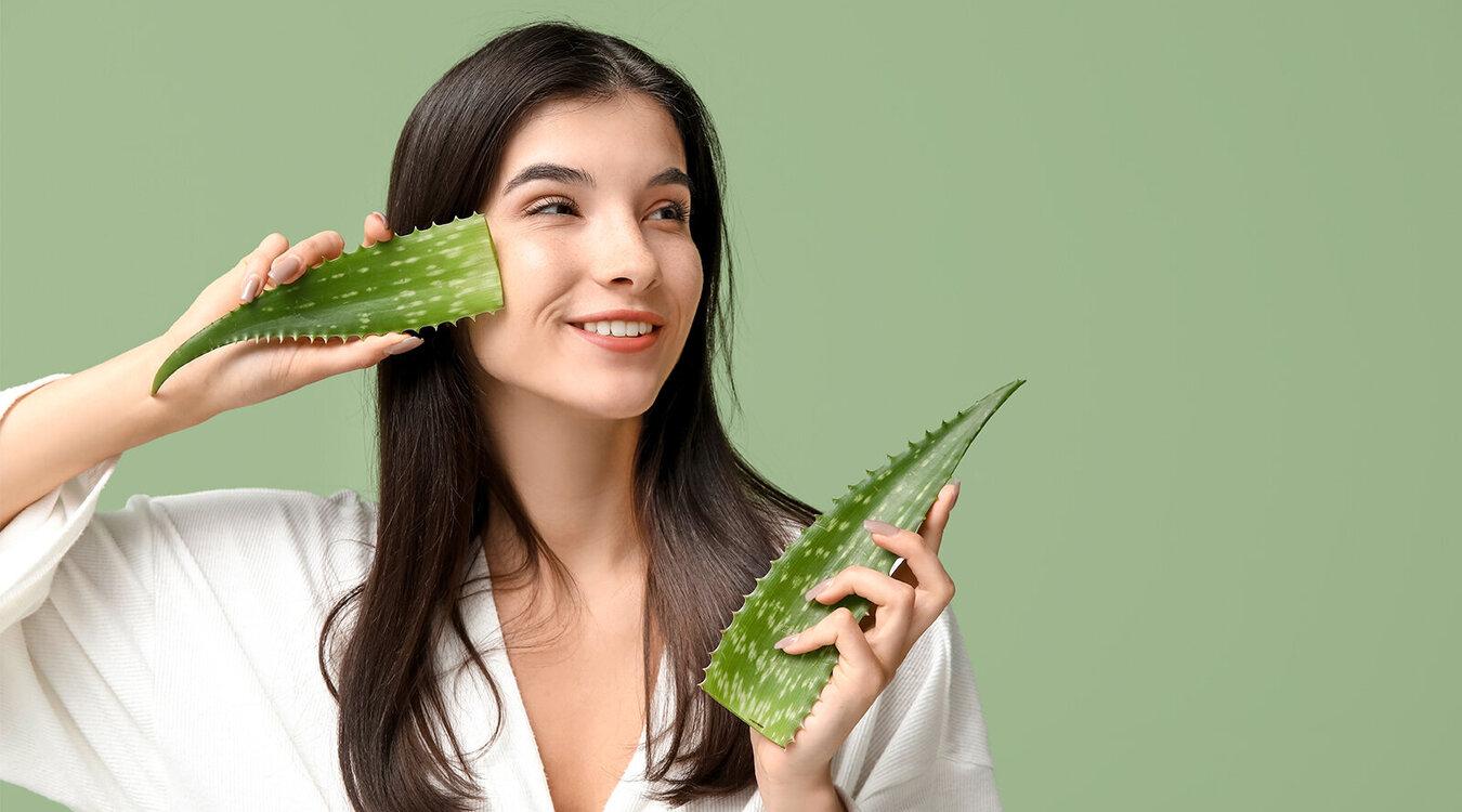 Foto: Pixel-Shot/Shutterstock.com 