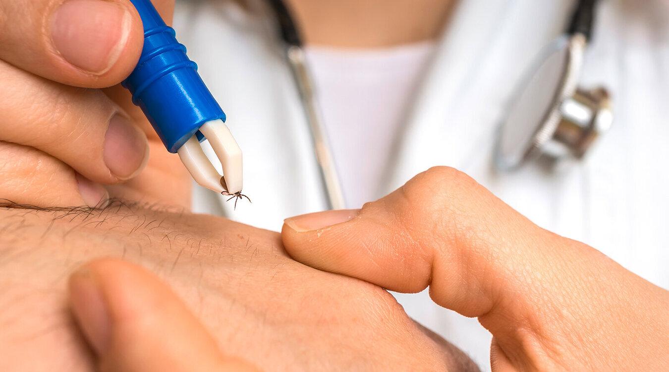 Foto: andriano.cz/Shutterstock.com