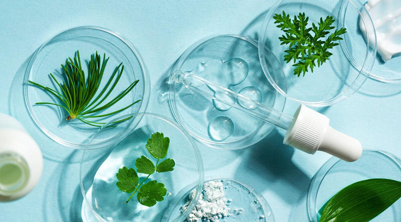 Foto: Oksana Mizina/Shutterstock