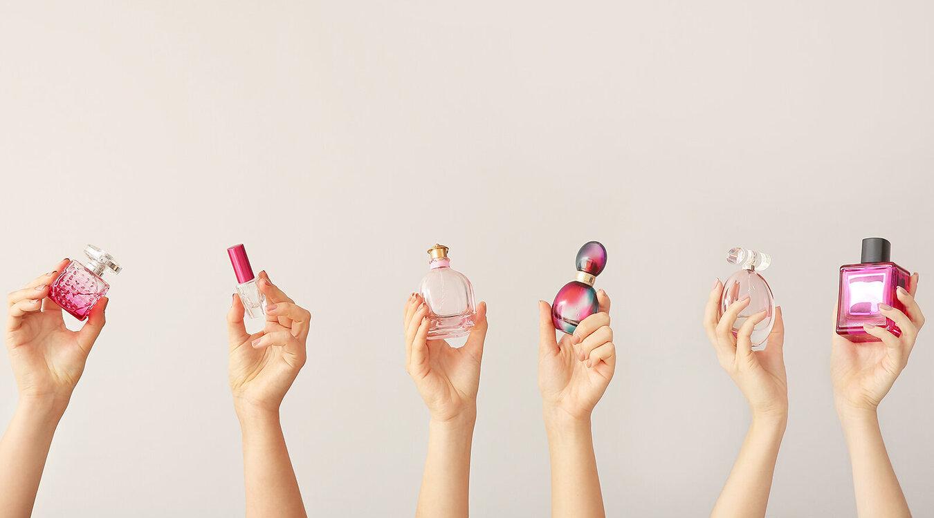 Foto: Pixel-Shot/Shutterstock.com