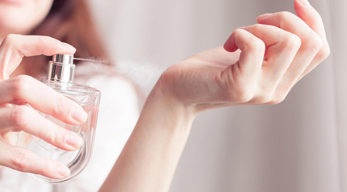 Foto: Angelika Smile/Shutterstock.com