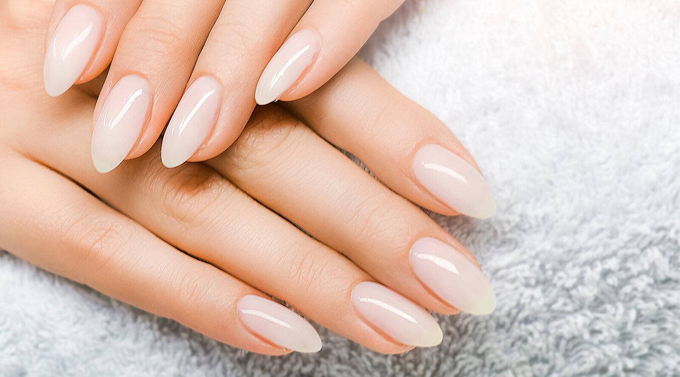 Foto: Krasula/Shutterstock.com