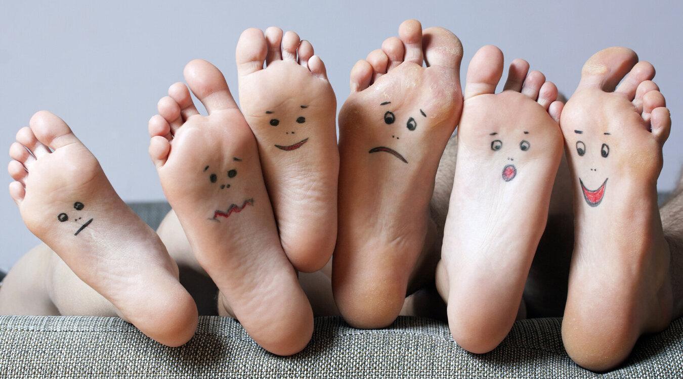 Foto: Timof/Shutterstock.com