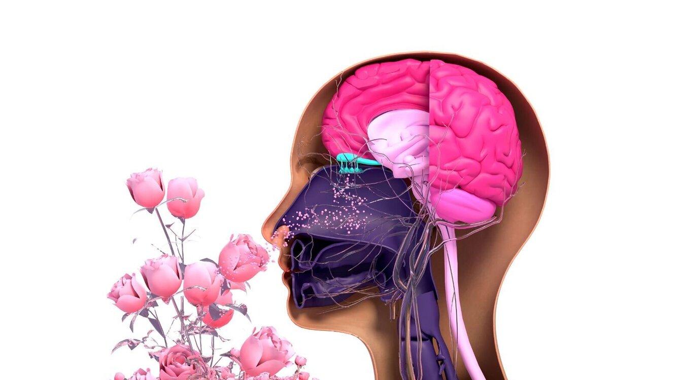 Foto: Design_Cells/Shutterstock.com