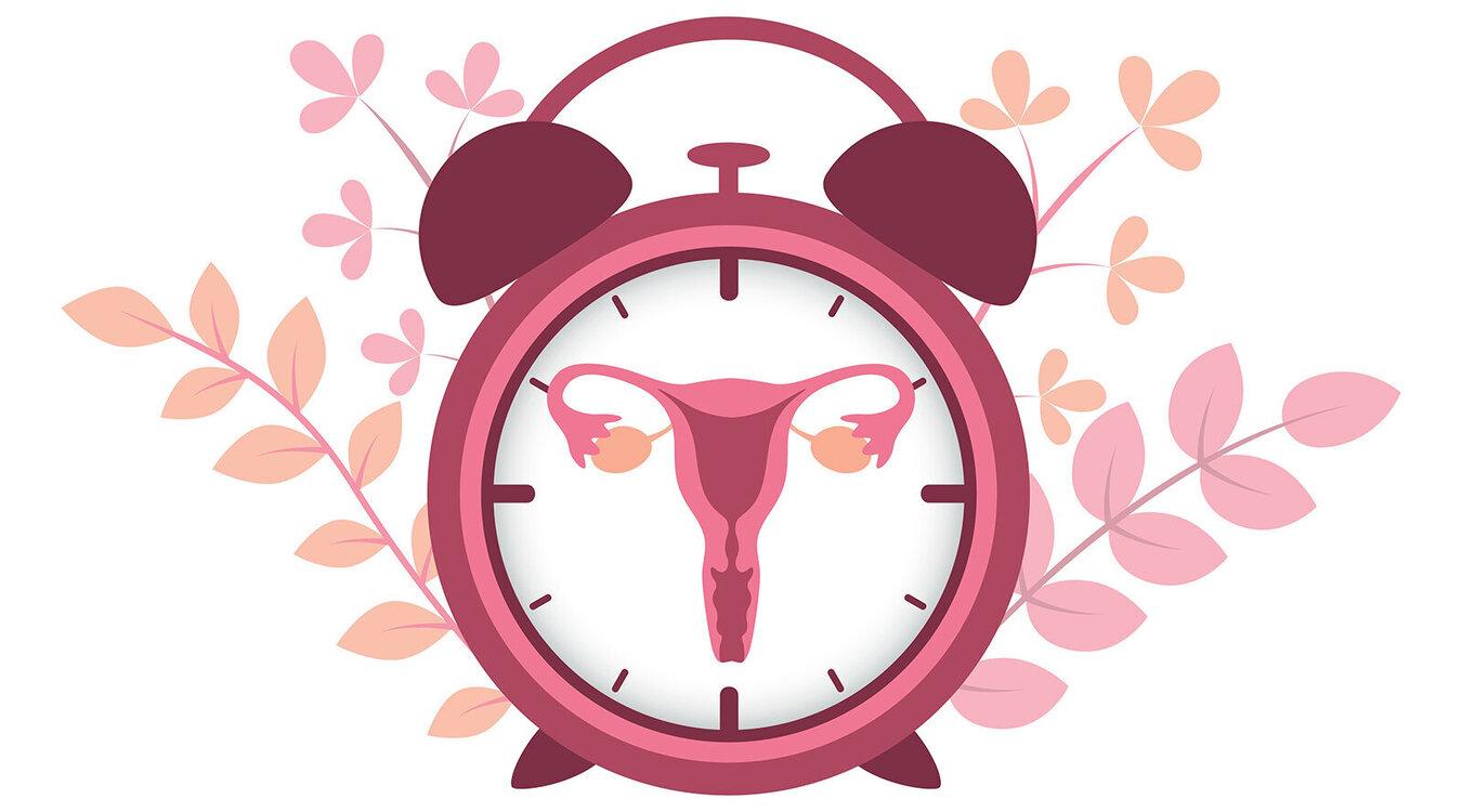 Foto: krissikunterbunt/Shutterstock.com