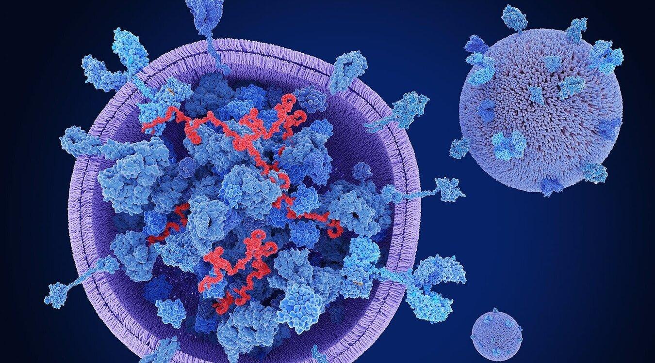 Foto: Juan Gaertner/Shutterstock.com