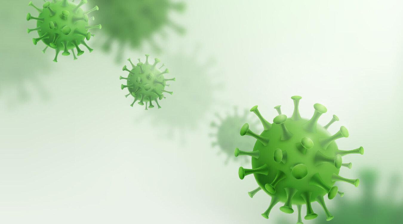 Foto: ricards indricans, Zaie/SHUTTERSTOCK.COM