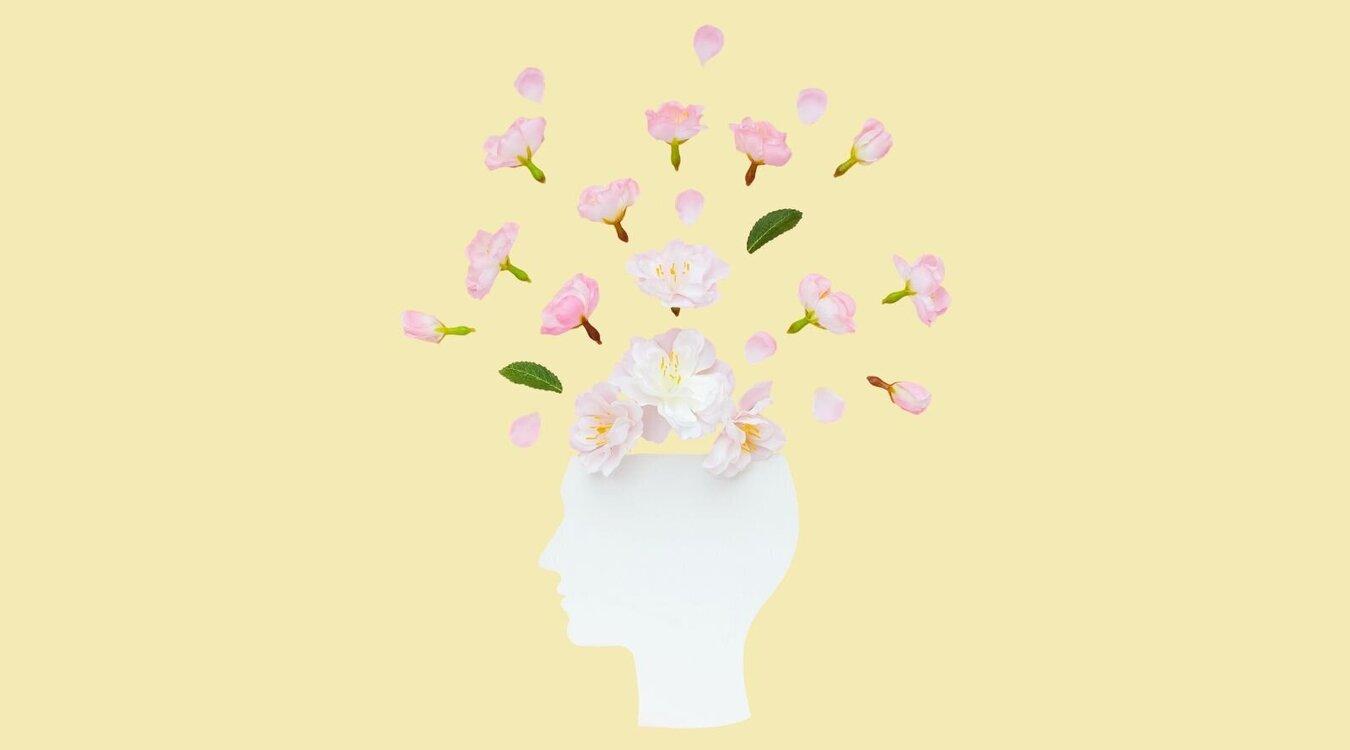 Foto: ClareM/Shutterstock.com