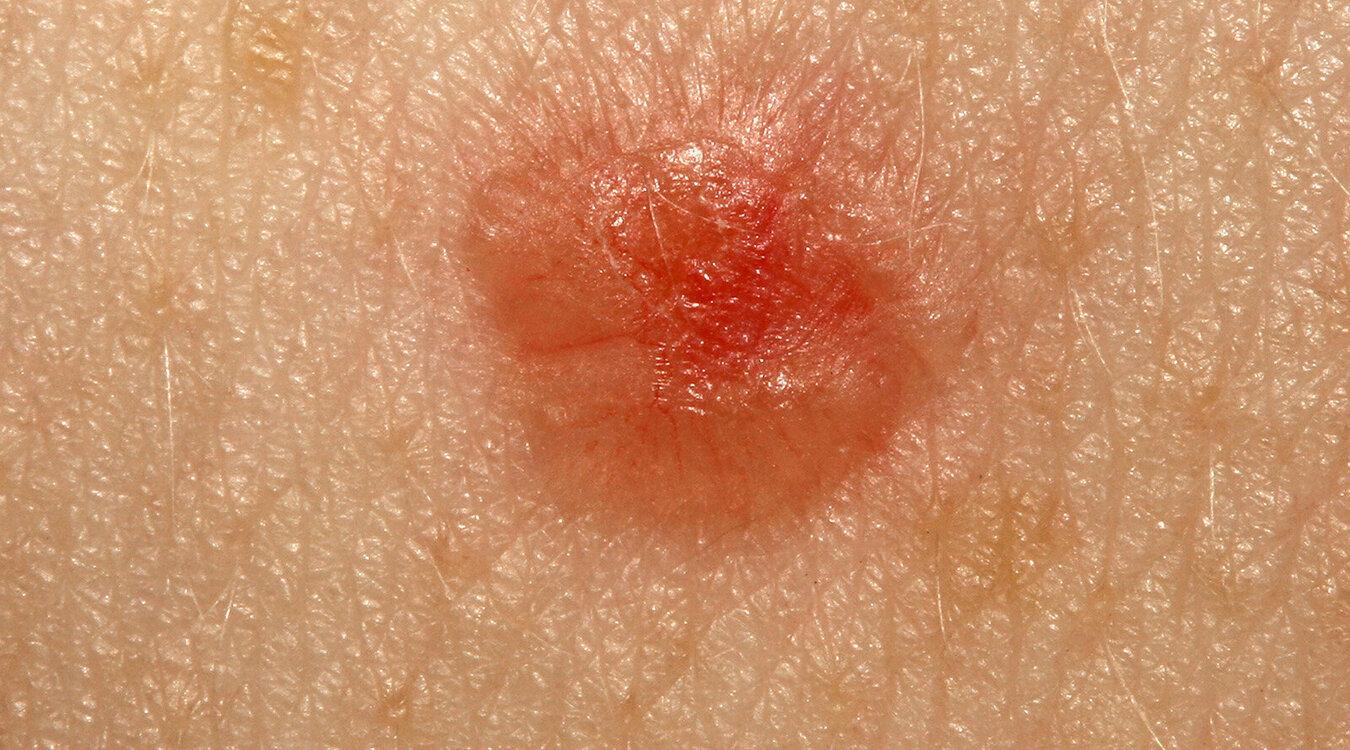 Foto: Peakstock/Shutterstock.com 