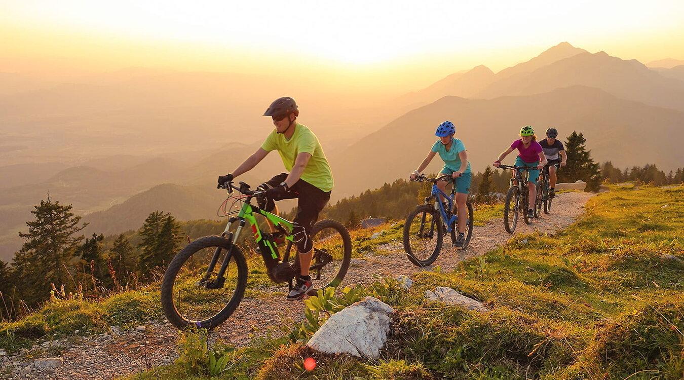 Foto: Flystock/Shutterstock.com