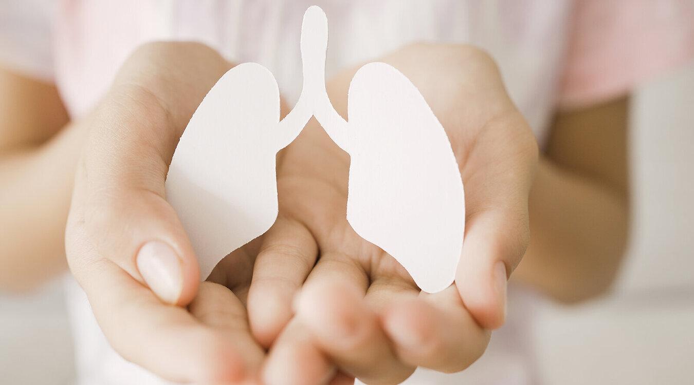 Foto: SewCreamStudio/Shutterstock.com